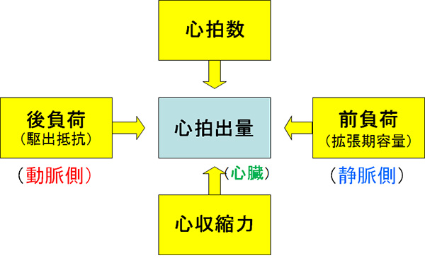 金本勇