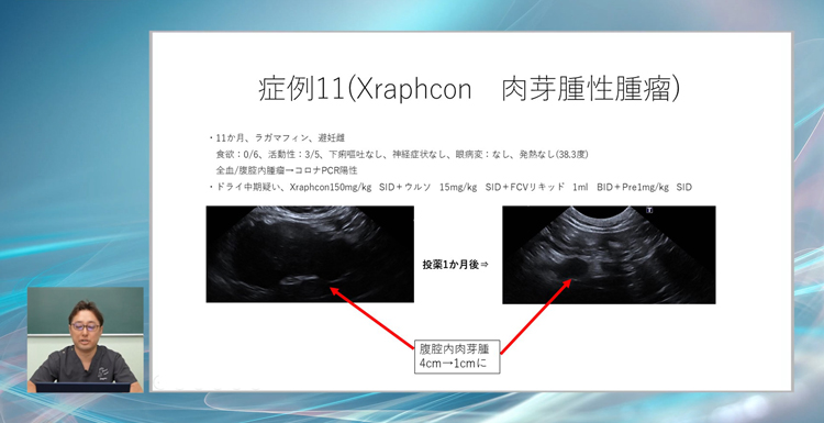 これだけ多くのFIP症例を解説した教材は他にありません