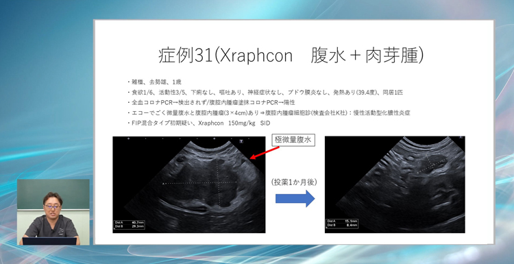 これだけ多くのFIP症例を解説した教材は他にありません