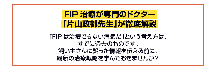 FIP治療が専門のドクター「片山政都先生」が徹底解説