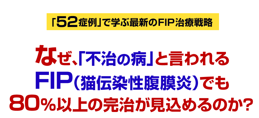 なぜ、「不治の病」と言われるFIP（猫伝染性腹膜炎）の80％以上を完治できるのか？