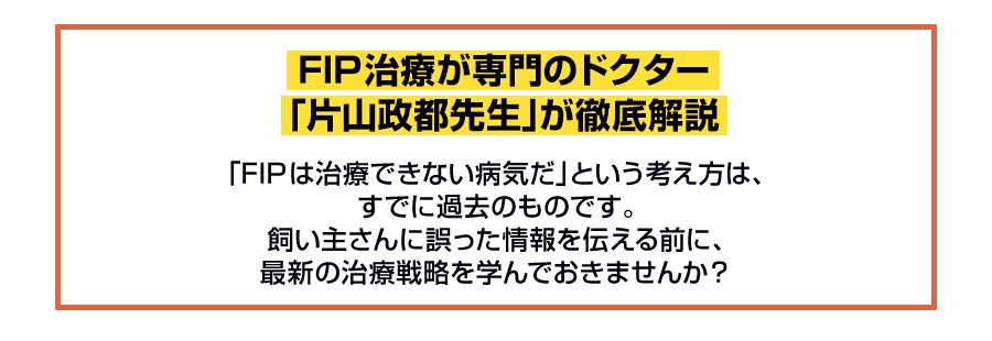 FIP治療が専門のドクター「片山政都先生」が徹底解説