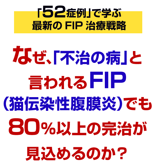 なぜ、「不治の病」と言われるFIP（猫伝染性腹膜炎）の80％以上を完治できるのか？