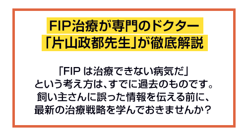 FIP治療が専門のドクター「片山政都先生」が徹底解説？