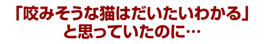 「咬みそうな猫はだいたいわかる」と思っていたのに…