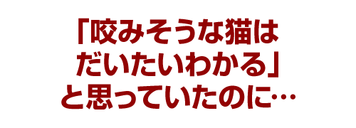 「咬みそうな猫はだいたいわかる」と思っていたのに…