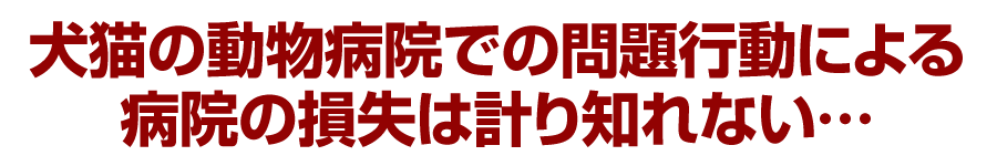 犬猫の動物病院での問題行動による病院の損失は計り知れない…