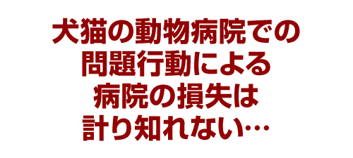 犬猫の動物病院での問題行動による病院の損失は計り知れない…