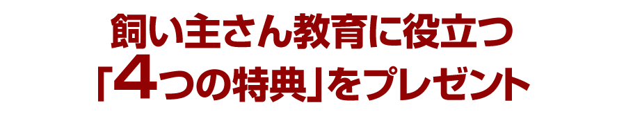 飼い主さん教育に役立つ「4つの特典」をプレゼント