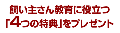 飼い主さん教育に役立つ「4つの特典」をプレゼント