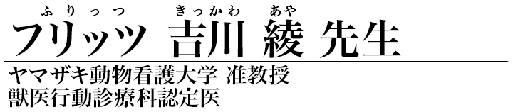 フリッツ吉川綾 先生