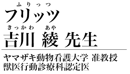 フリッツ吉川綾 先生