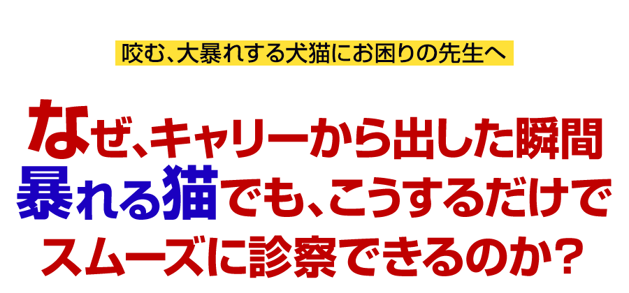 なぜ、キャリーから出した瞬間暴れる猫でも、こうするだけでスムーズに診察できるのか？