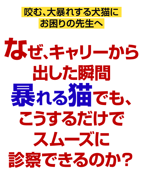 なぜ、キャリーから出した瞬間暴れる猫でも、こうするだけでスムーズに診察できるのか？