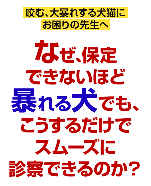 なぜ、キャリーから出した瞬間暴れる猫でも、こうするだけでスムーズに診察できるのか？