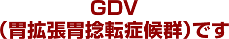 GDV（胃拡張胃捻転症候群）です