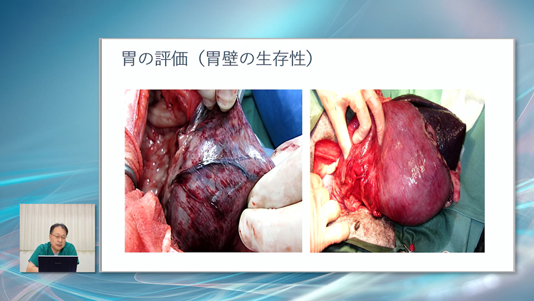 実際の写真をみながら、臓器の評価のポイントを学べます