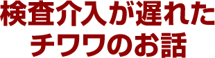 検査介入が遅れたチワワのお話