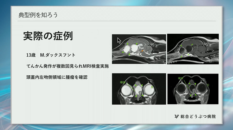 一次診療でよく遭遇する「典型症例」を中心に解説します