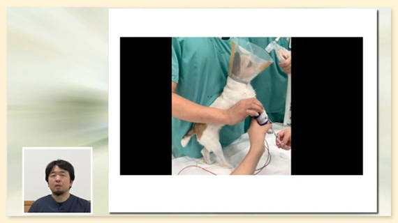 麻酔疼痛管理の基礎から麻酔器の繋ぎ方、実際の症例まで学べます
