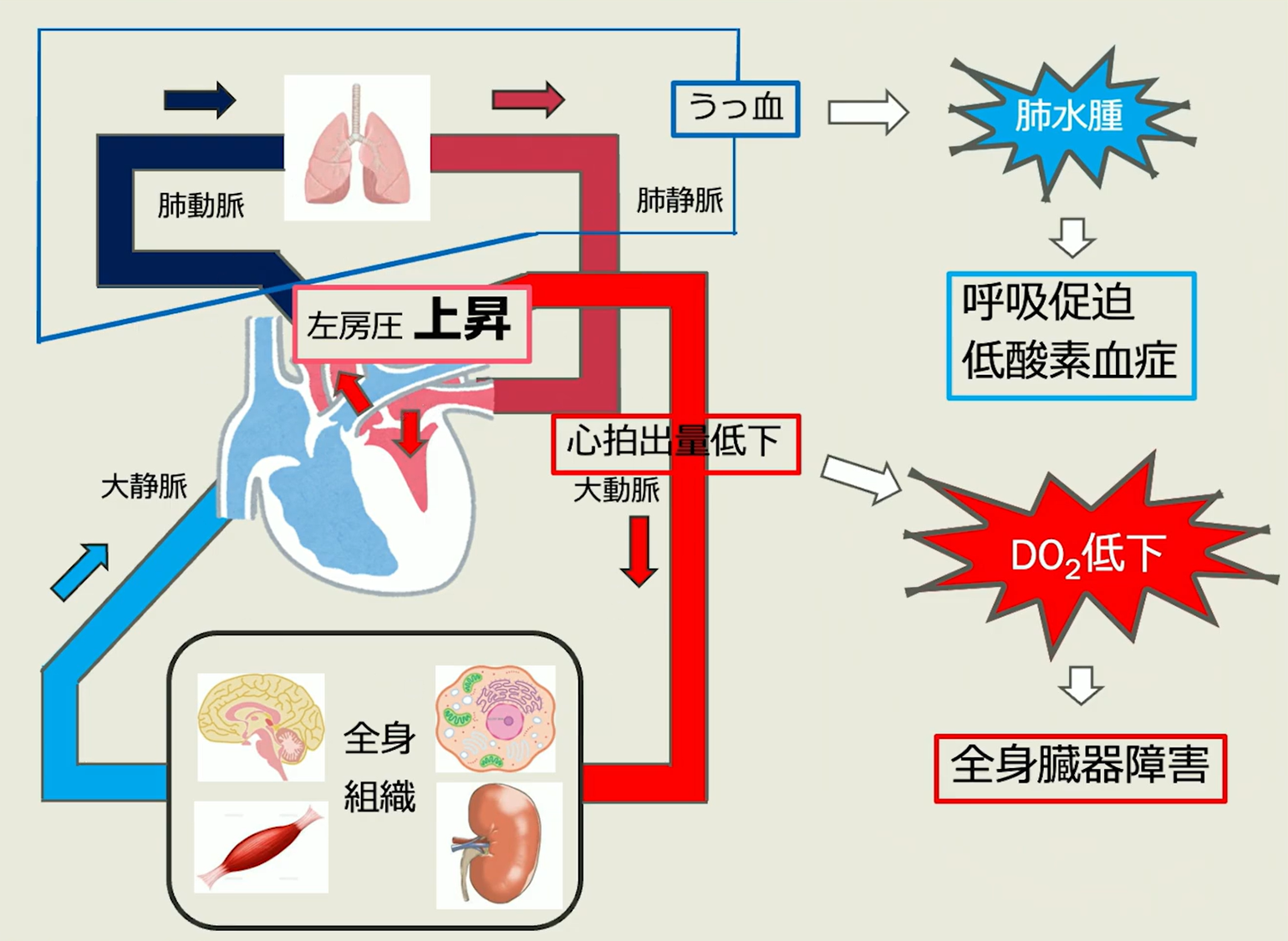 病態を理解できれば、自然に最適な薬剤がわかります