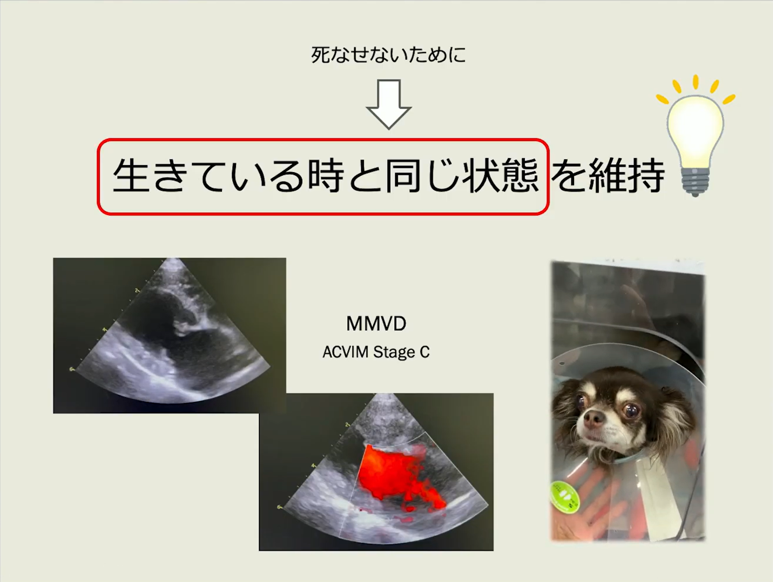 本教材で、スタッフ全員の共通理解が作れます
