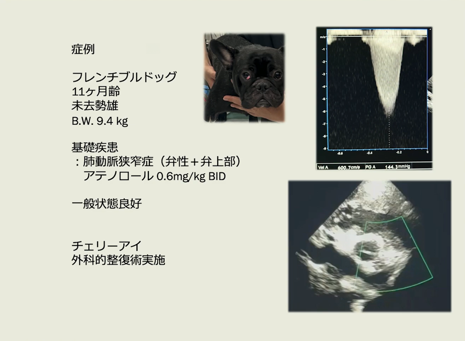 専門医の現場を覗ける映像は、とても貴重です