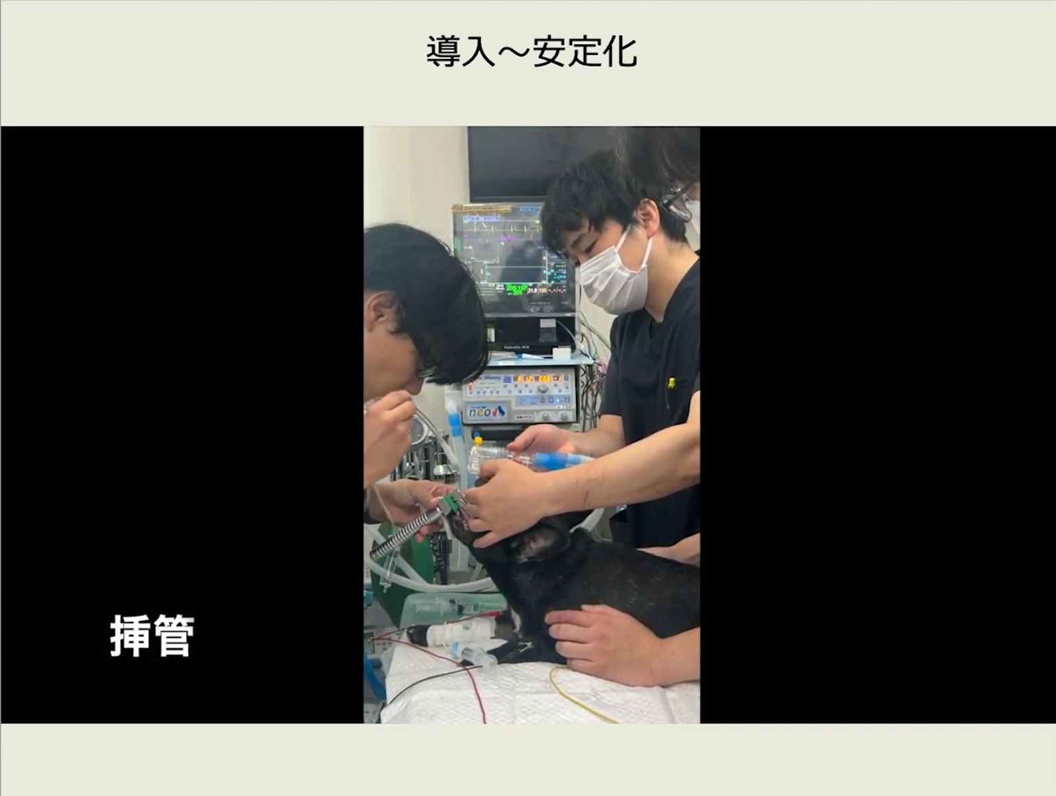 専門医の現場を覗ける映像は、とても貴重です