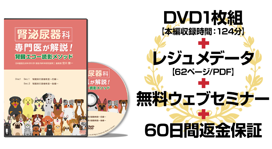 腎泌尿器科専門医が解説！腎臓エコー読影メソッド