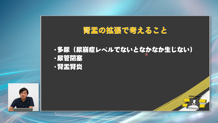 明日の腎エコーから、病変検出率が上がります