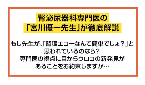 腎泌尿器科専門医の「宮川優一先生」が徹底解説