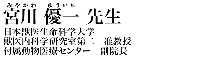 宮川 優一 先生