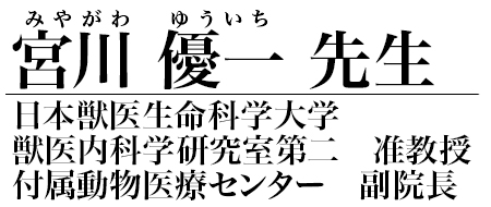 宮川 優一 先生