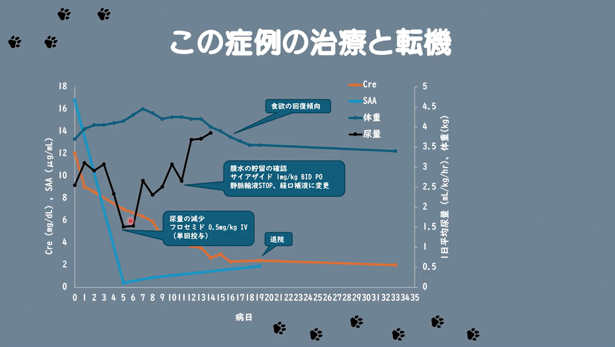 原因の異なる、さまざまなAKI診療を追体験できます