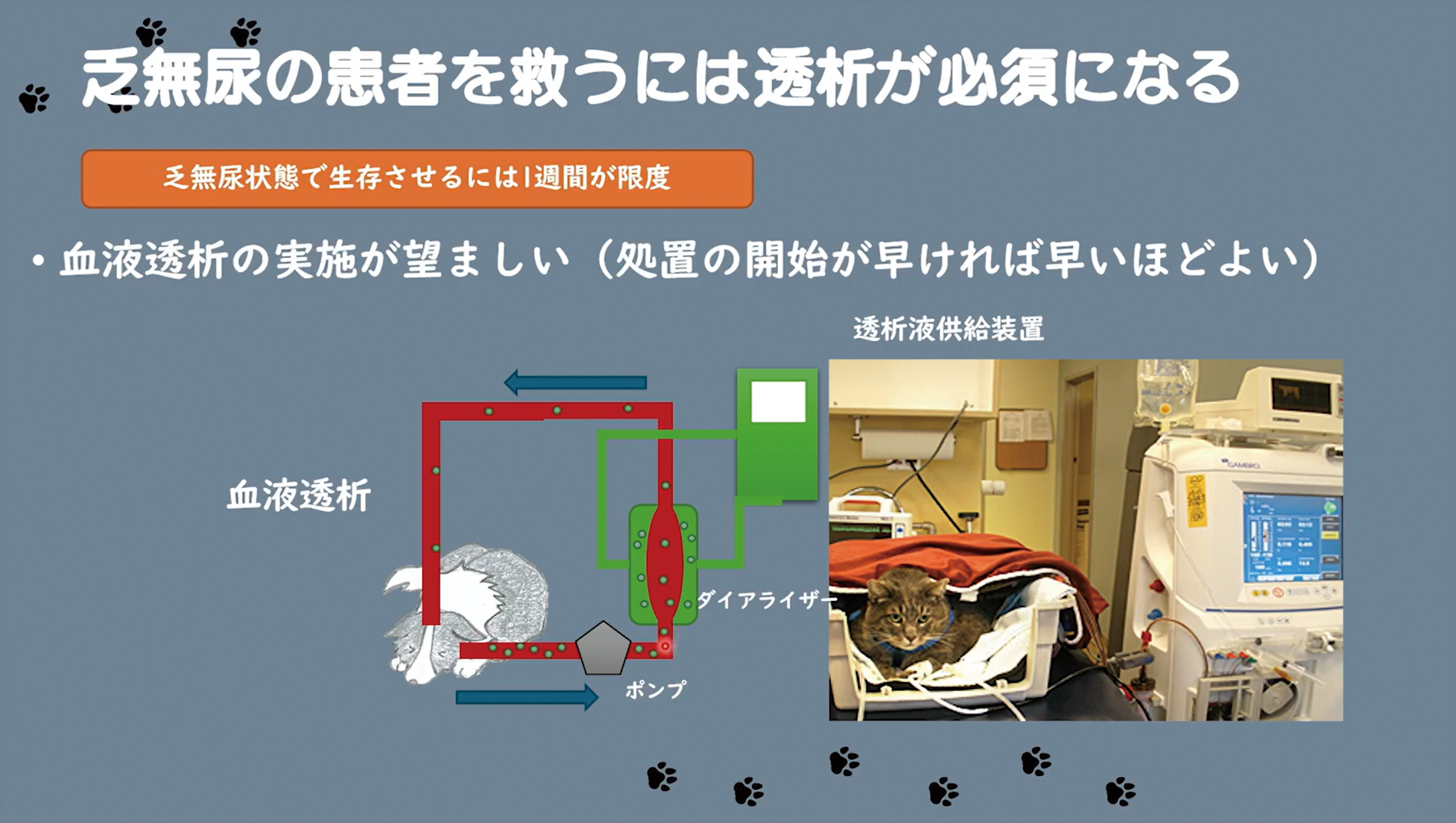 透析の判断も、ホームドクターの重要な役割です