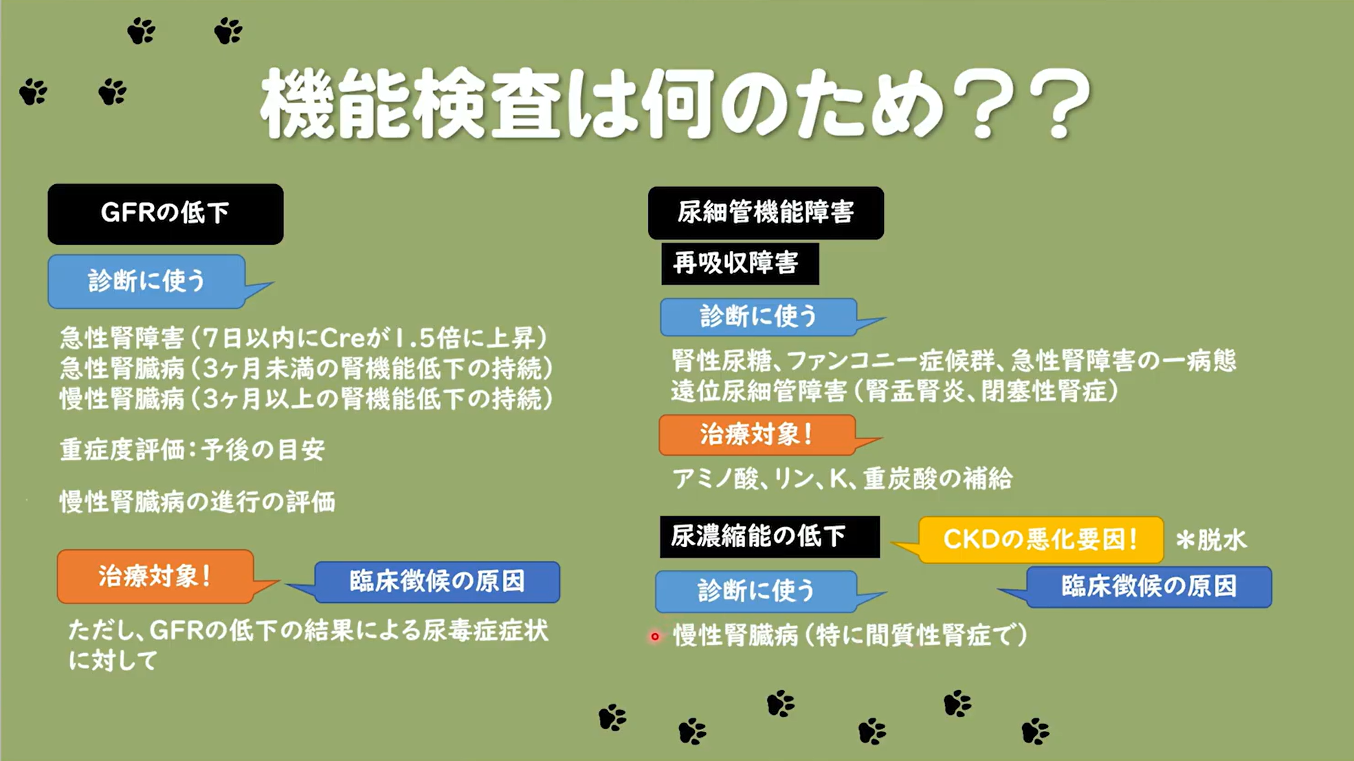 機能検査は何のため？？