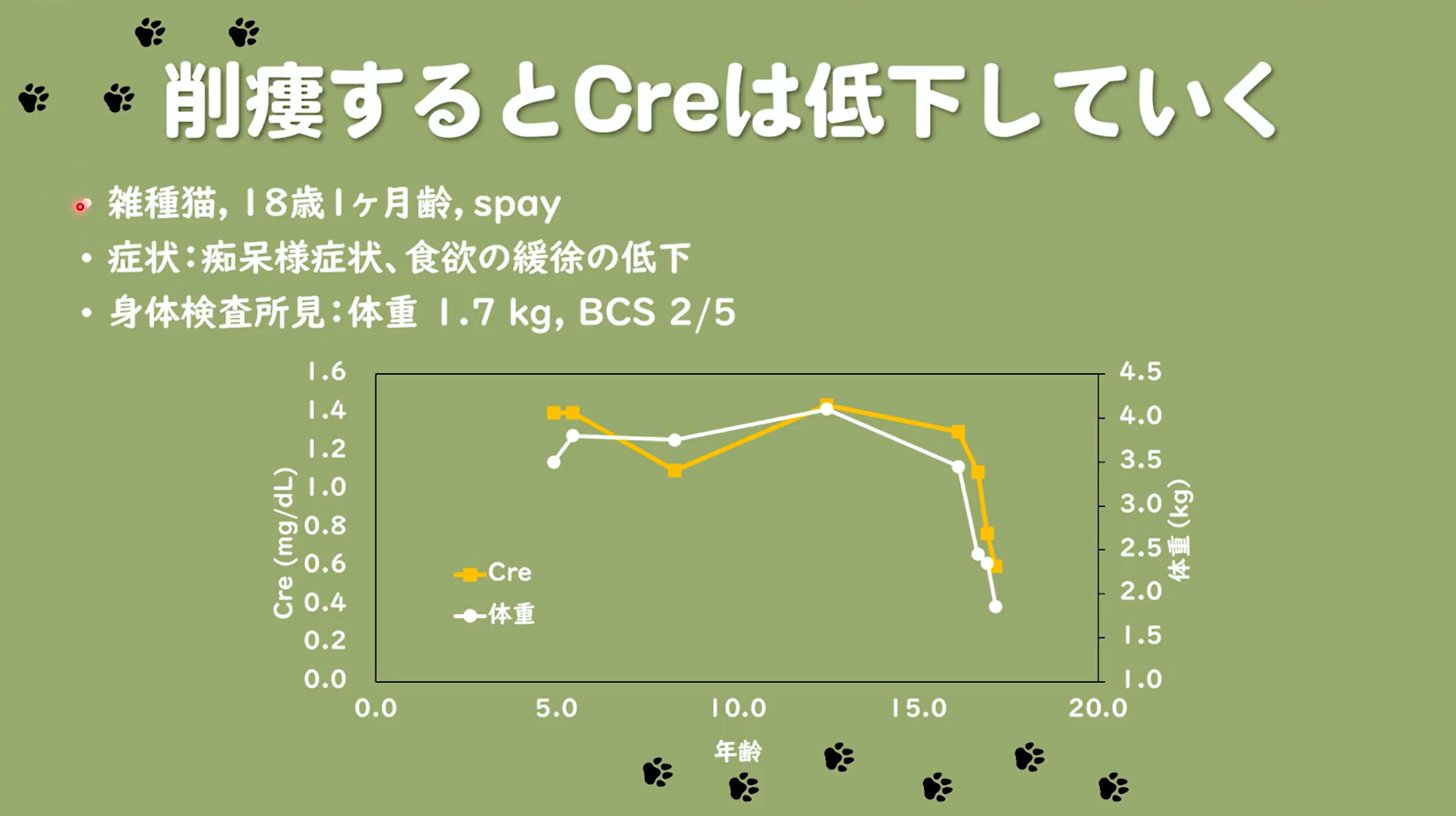削痩するとCreは低下していく