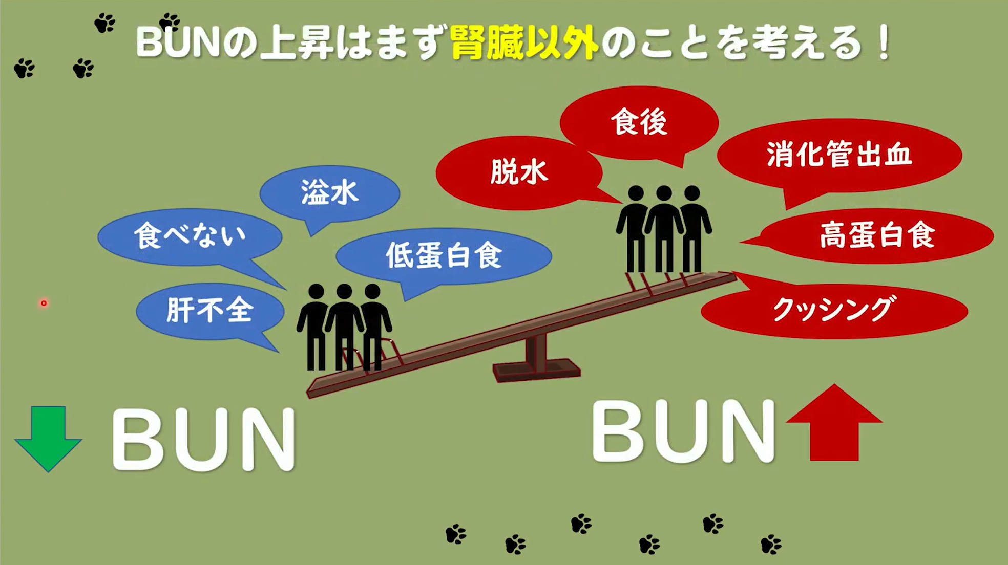 BUNの上昇はまず腎臓以外のことを考える！