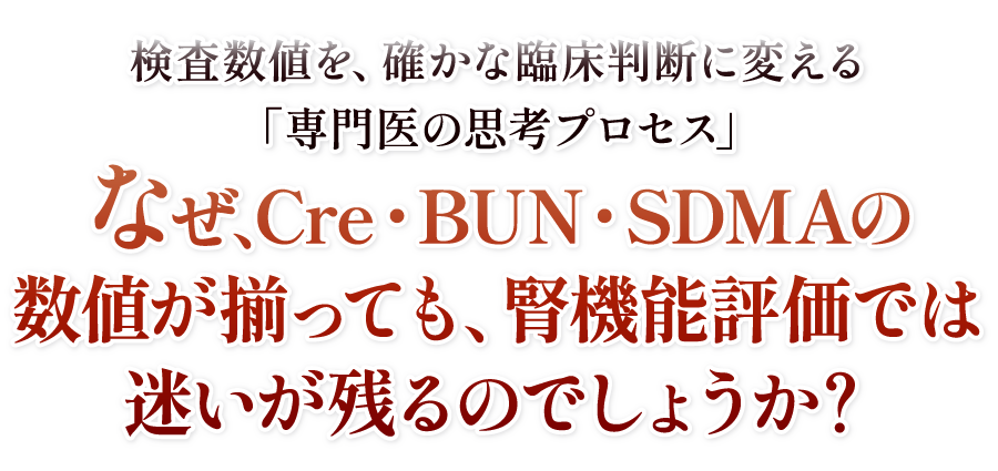 なぜ、Cre・BUN・SDMAの数値が揃っても、腎機能評価では迷いが残るのでしょうか？