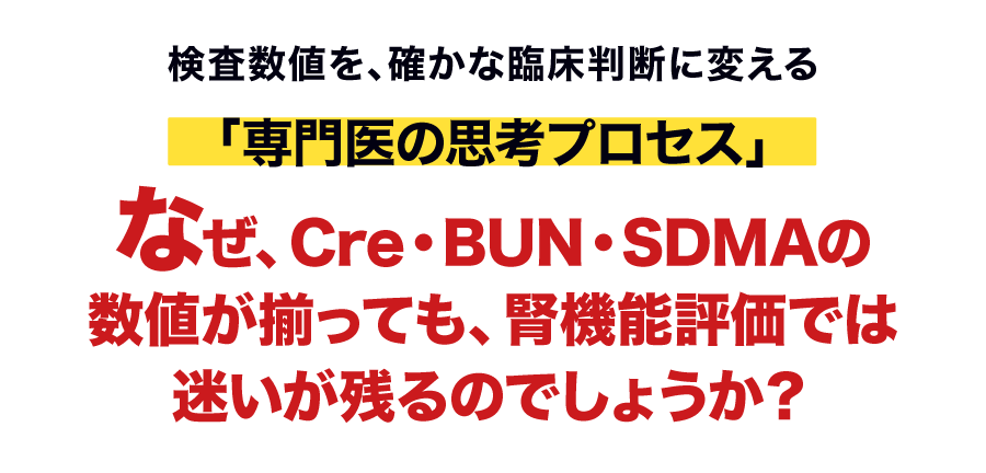 なぜ、Cre・BUN・SDMAの数値が揃っても、腎機能評価では迷いが残るのでしょうか？