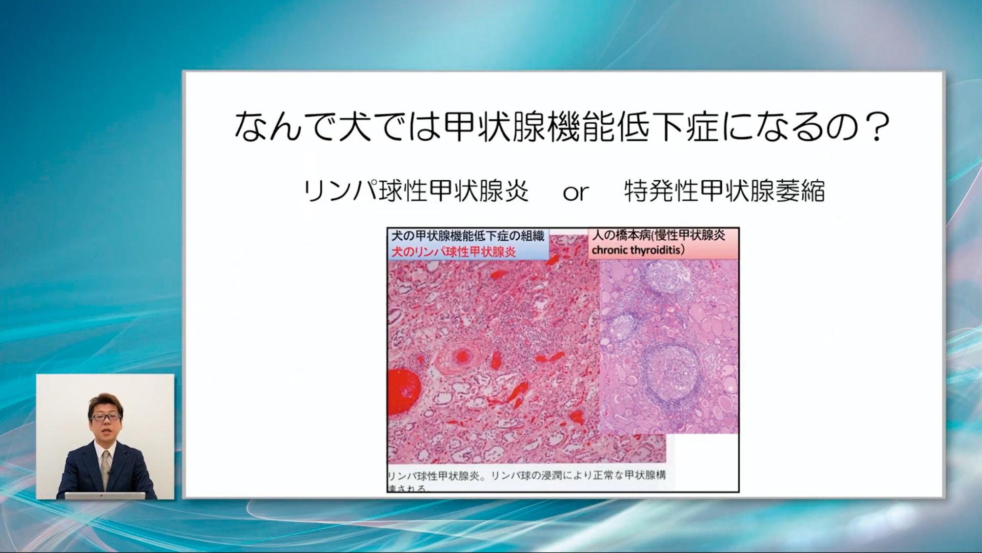 本教材ひとつで、犬と猫の両方の甲状腺疾患に対応できます