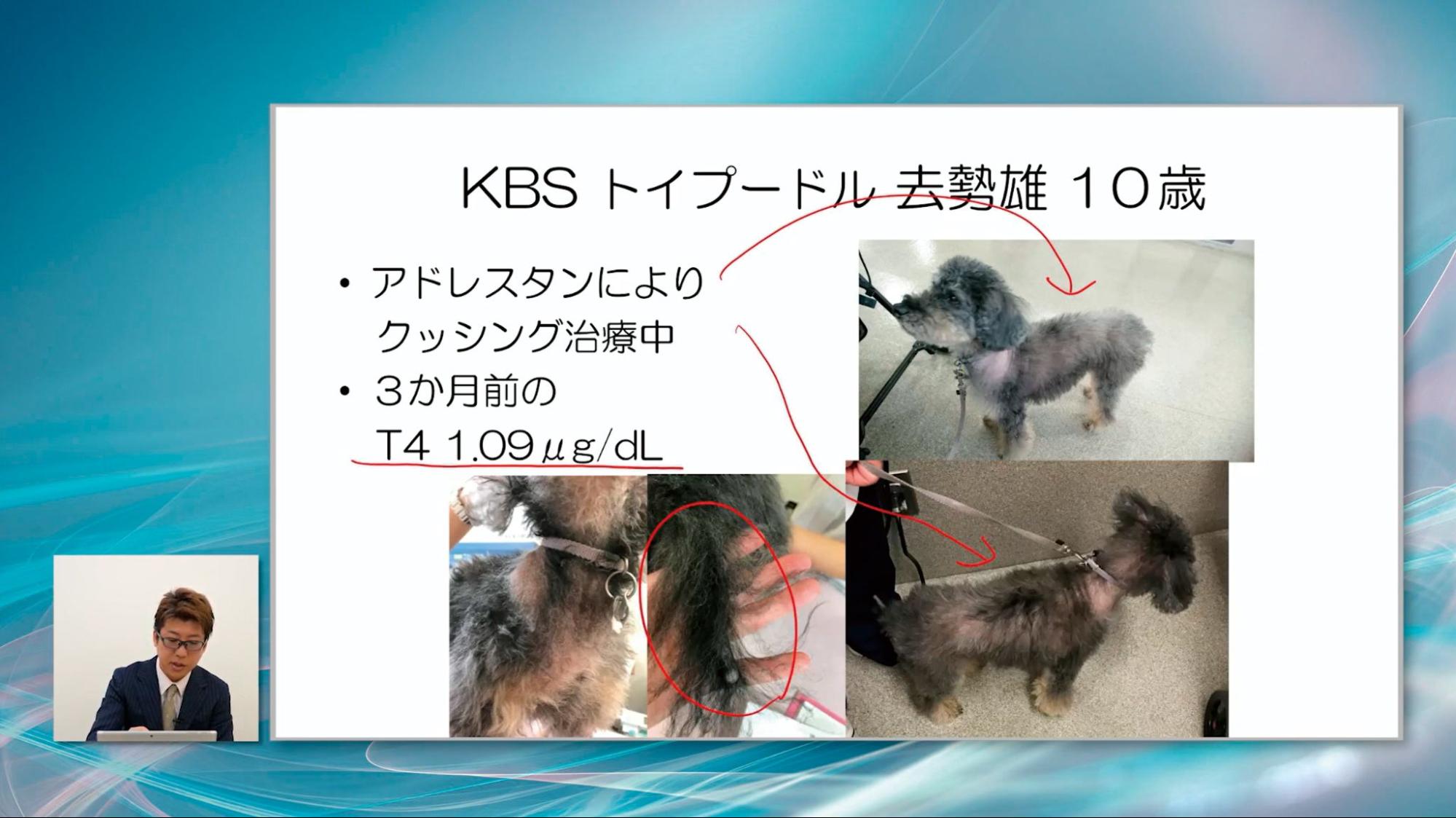 一次診療でよく遭遇する症例を網羅しました