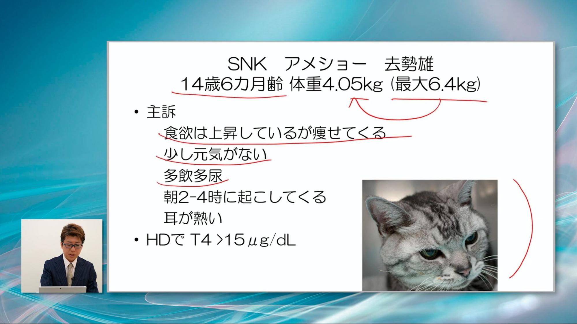 一次診療でよく遭遇する症例を網羅しました