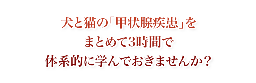 犬と猫の「甲状腺疾患」をまとめて3時間で体系的に学んでおきませんか？