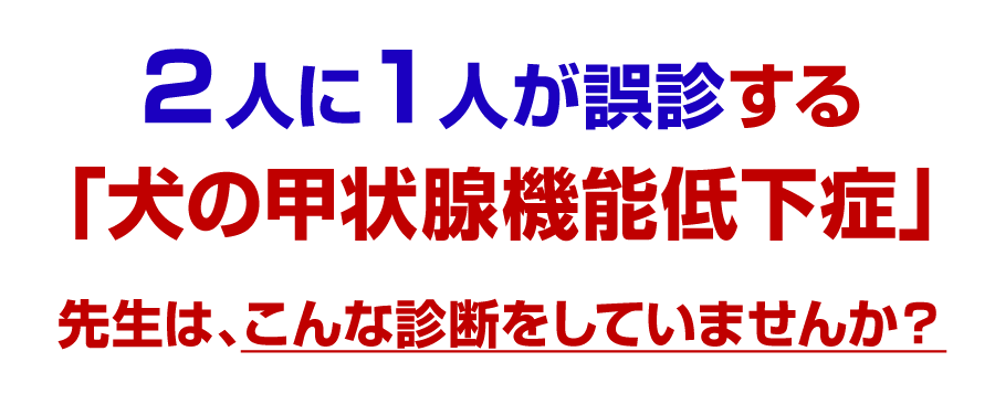 2人に1人が誤診する「犬の甲状腺機能低下症」先生は、こんな診断をしていませんか？