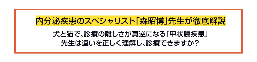 内分泌疾患のスペシャリスト「森昭博」先生が徹底解説