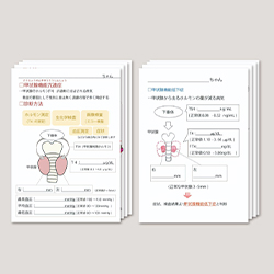 １. インフォームド用紙（低下症・亢進症の２種類）