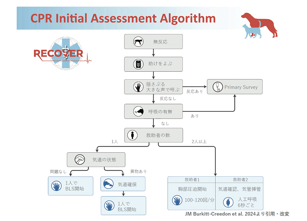 最新ガイドラインを一次診療向けに解説します