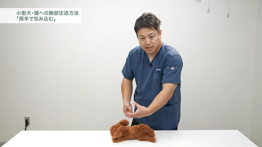 獣医師１人＋看護師１人でも迷わず動ける心肺蘇生（CPR）導入パッケージ