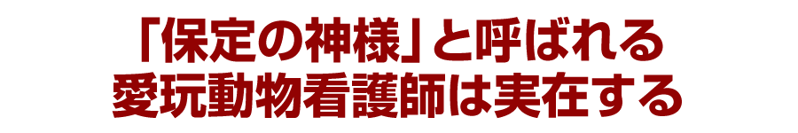 「保定の神様」と呼ばれる愛玩動物看護師は実在する